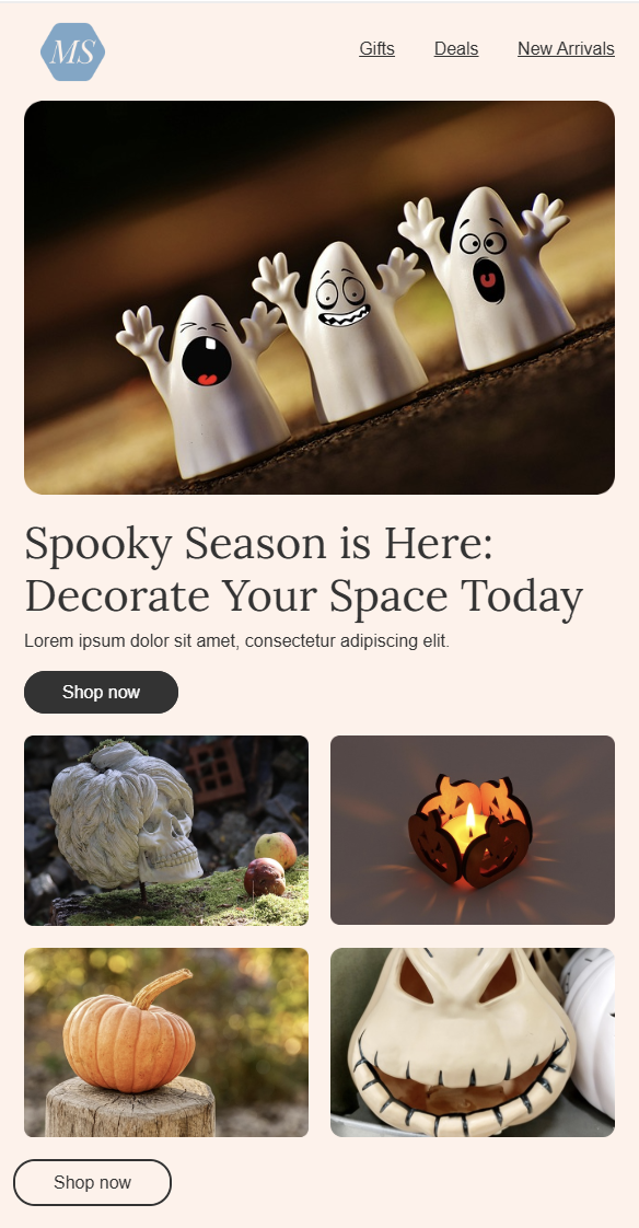 Ecommerce Email Template