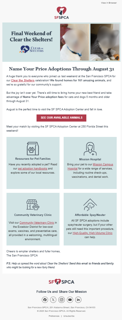 sf spca adoption promo email