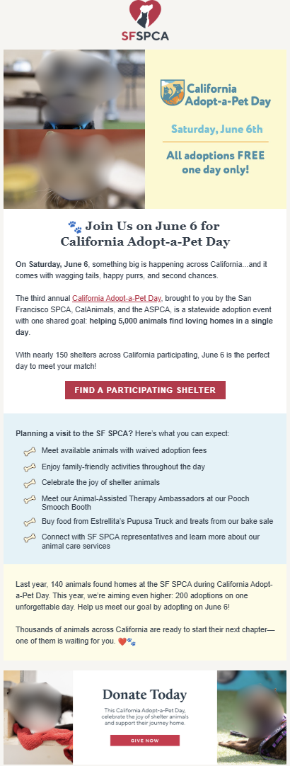 sf spca adoption promo email